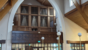 The Frobenius Organ